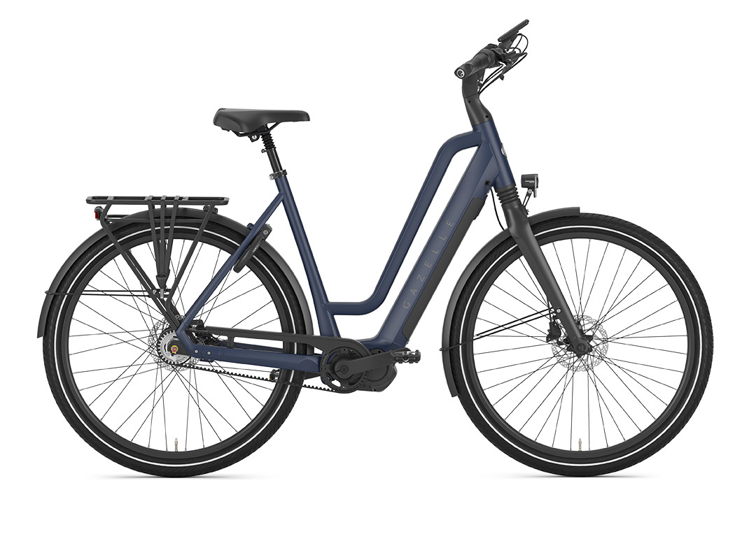 Chamonix, Gazelle, E-Bike, Fahrrad, Fahrrad Walter
