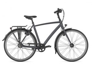 Chamonix, Gazelle, Fahrrad, Fahrrad Walter, Kelkheim