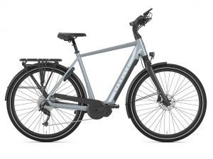 Chamonix T10, grau, Gazelle E-Bike, Fahrrad Walter