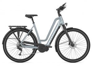 Chamonix, Gazelle, E-Bike, Fahrrad, Fahrrad Walter