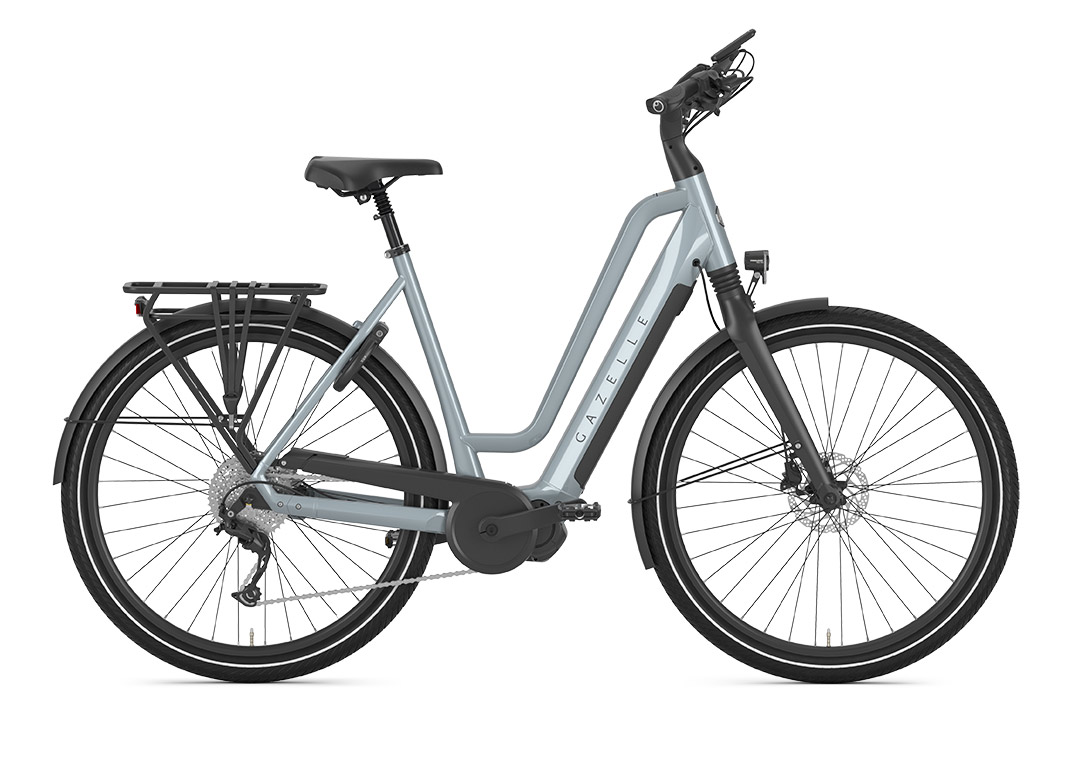 Chamonix, Gazelle, E-Bike, Fahrrad, Fahrrad Walter