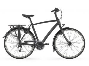 Chamonix, Gazelle, Fahrrad, Fahrrad Walter