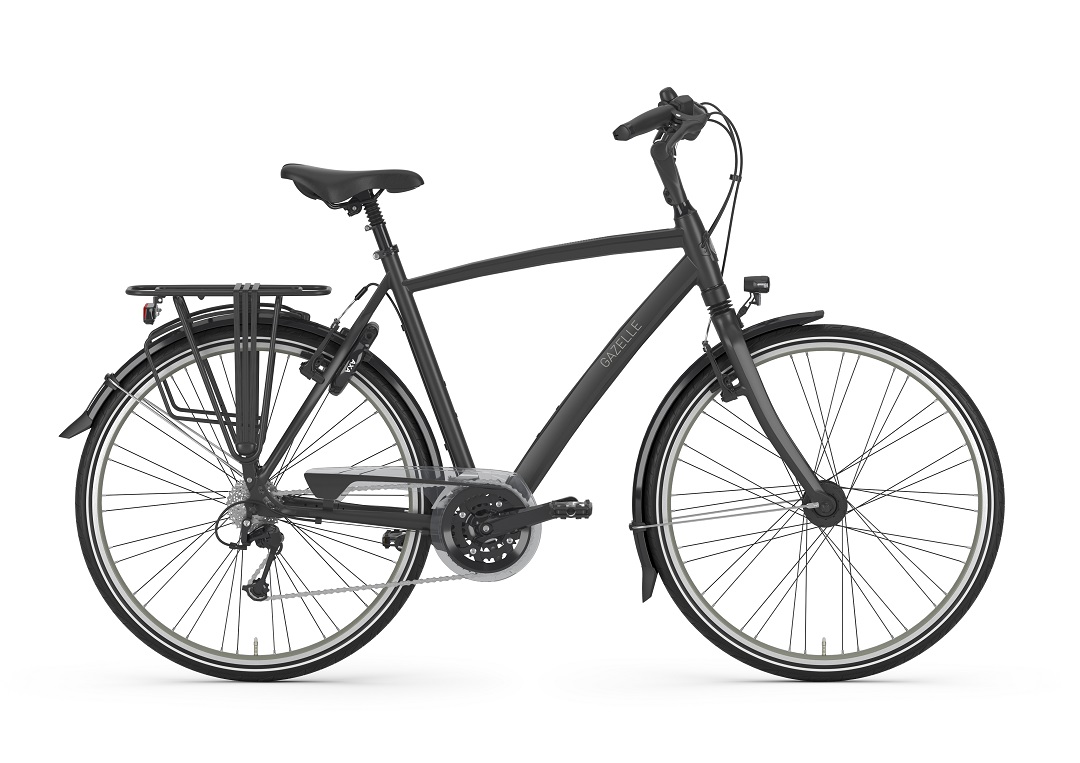 Chamonix, Gazelle, Fahrrad, Fahrrad Walter