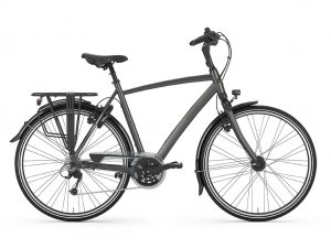 Chamonix, Gazelle, Fahrrad, Fahrrad Walter, Kelkheim
