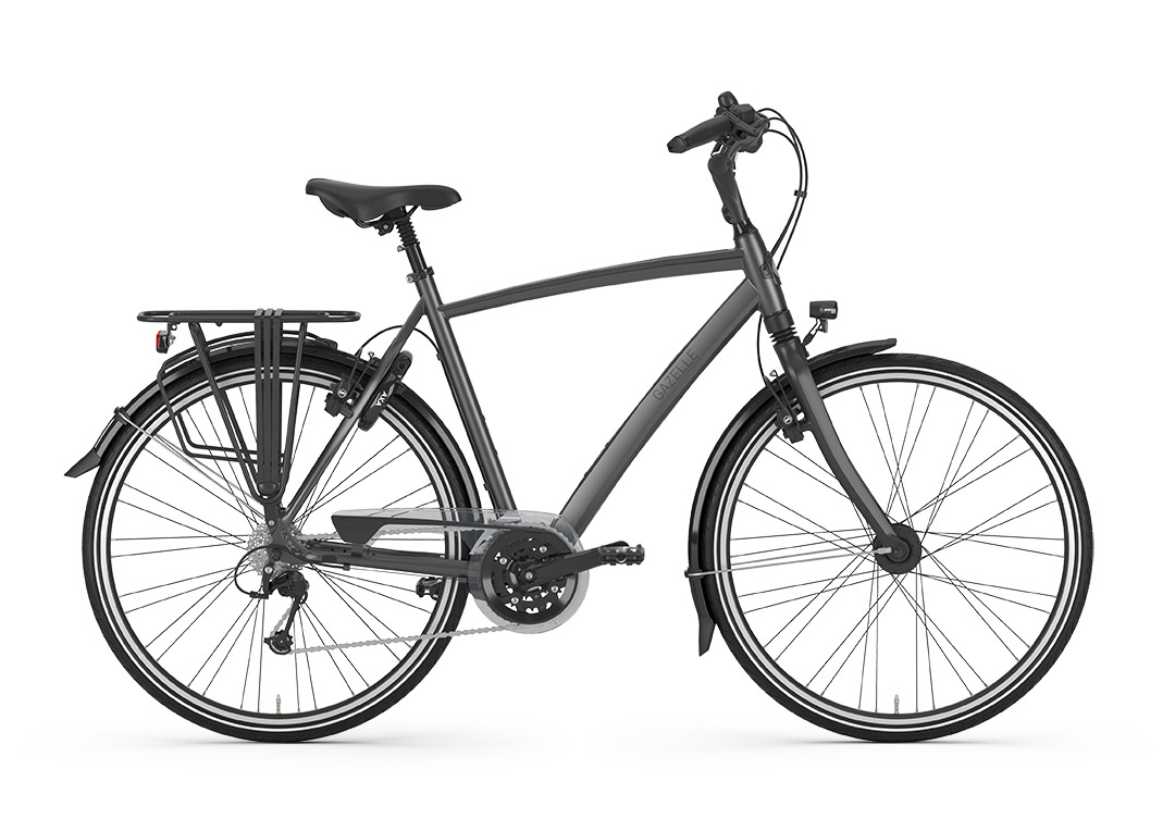 Chamonix, Gazelle, Fahrrad, Fahrrad Walter, Kelkheim