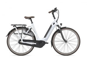 Fahrrad Walter, Kelkheim, Gazelle, E-Bike, Arroyo
