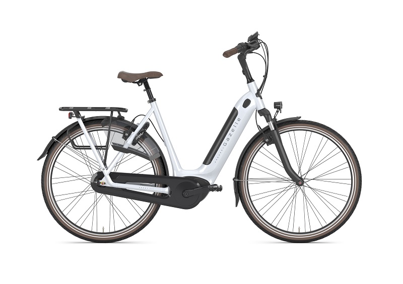 Fahrrad Walter, Kelkheim, Gazelle, E-Bike, Arroyo