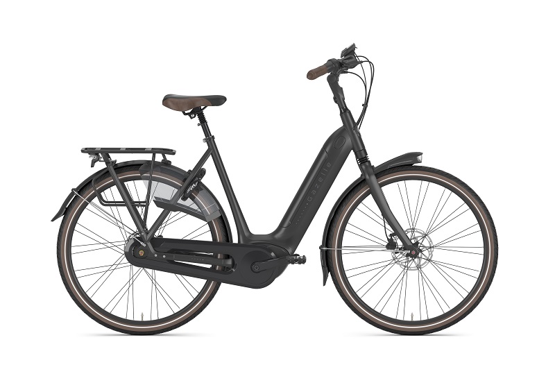Fahrrad Walter Kelkheim, Gazelle, Ebike, Arroyo