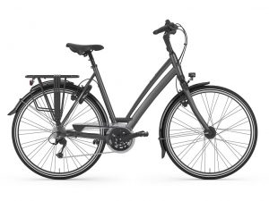Chamonix, Gazelle, Fahrrad, Fahrrad Walter, Kelkheim