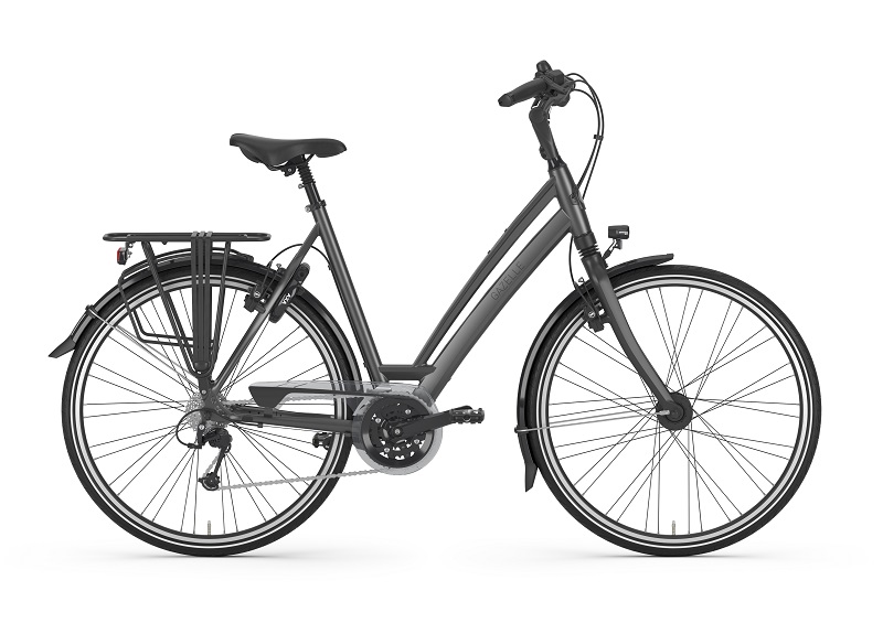 Chamonix, Gazelle, Fahrrad, Fahrrad Walter, Kelkheim