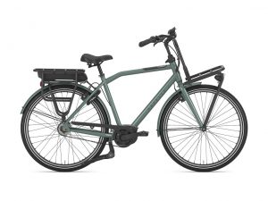 Fahrrad Walter Kelkheim, Gazelle, Ebike, Heavyduty, Fahrrad, Kelkheim, Lastenrad