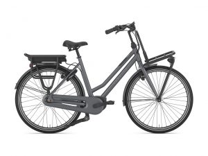 Fahrrad Walter Kelkheim, Gazelle, Ebike, Heavy Duty, Kelkheim, Fahrrad Verkauf