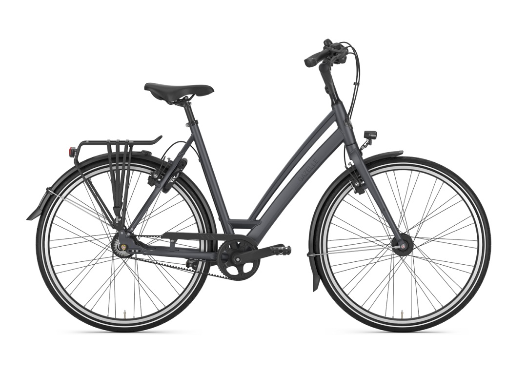 Fahrrad Walter, Kelkheim, Gazelle, Fahrrad Werkstatt, E-Bike, Non E-Bike