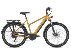 Medeo, Gazelle, E-Bike, Fahrrad, Fahrrad Walter, Kelkheim